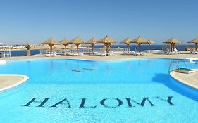 Halomy Hotel Sharm El Sheikh 3*